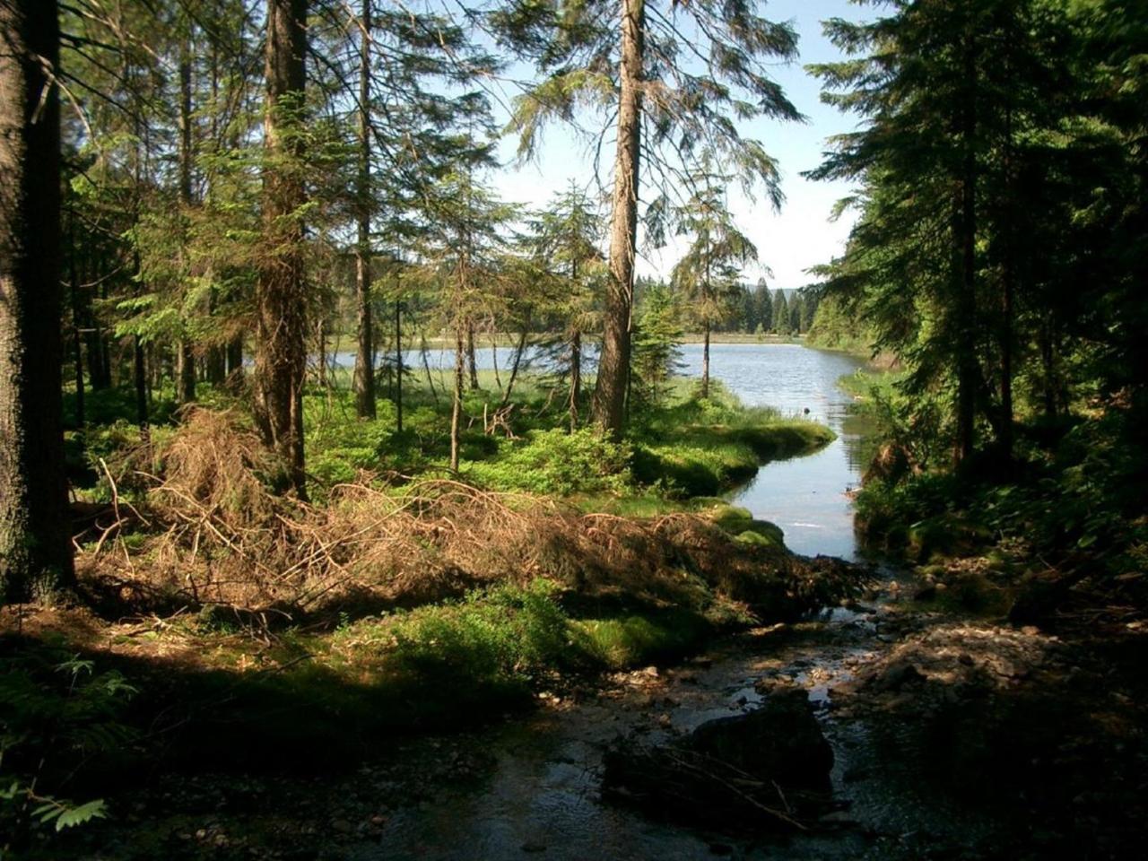 Ferienhof Ellerbeck Langdorf  Екстериор снимка